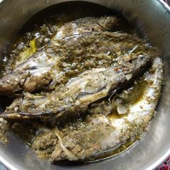 A picture of Steamed Coriander Pabda.
