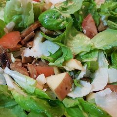 A picture of Pork Salad with Apple.