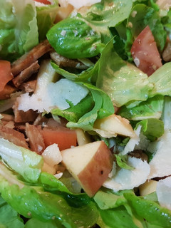 A picture of Pork Salad with Apple.