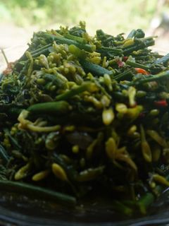 Foto resep Tumis Pakis