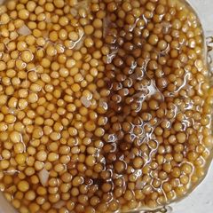 A picture of My Pickled Mustard Seeds.