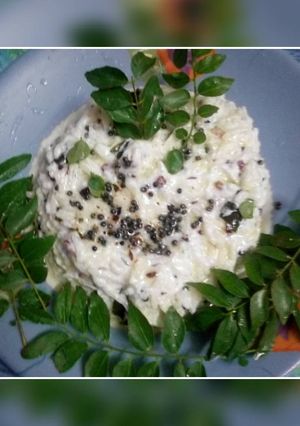 A picture of Curd rice.
