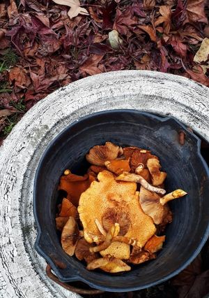 Una foto de Hongos al escabeche 🍄🌲