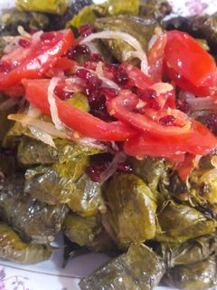 عکسی از دستور دلمه برگ مو