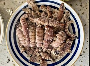 Hình của món Bề bề bóc nõn rim mắm hành.