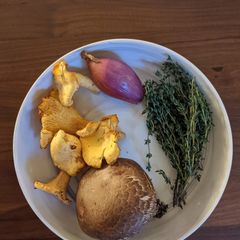 A picture of Mushroom Sauce.