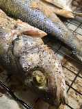 Greek Whole Roasted Branzino! (Ψητό Λαβράκι)