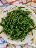 Salicornia asparago di mare