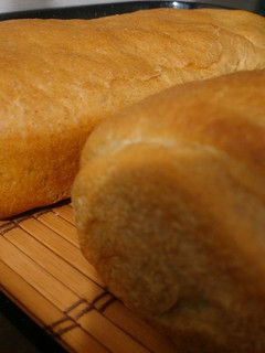 Una foto de 🍞 Pan base para tres formas