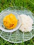 Mango Whey Protein Ice Cream