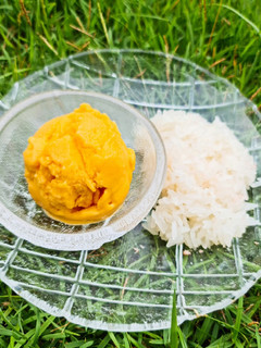 A picture of Mango Whey Protein Ice Cream.