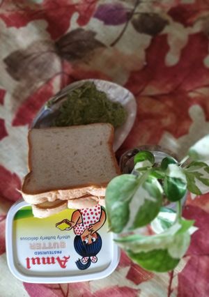 A picture of Instant, avocado, Basil leaves chutney.