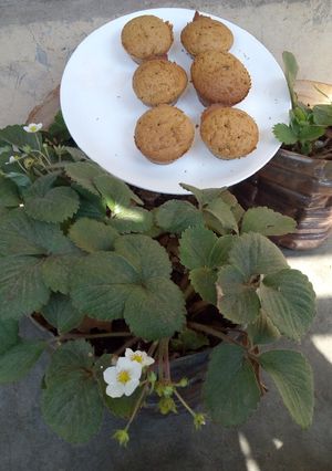 A picture of Banana cupcakes #bakedsnacks.