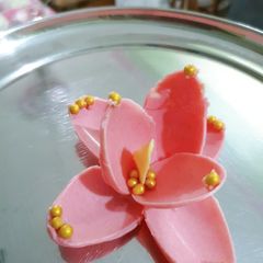 A picture of Chocolate flower.
