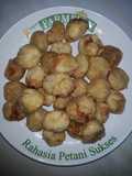 Olos Goreng