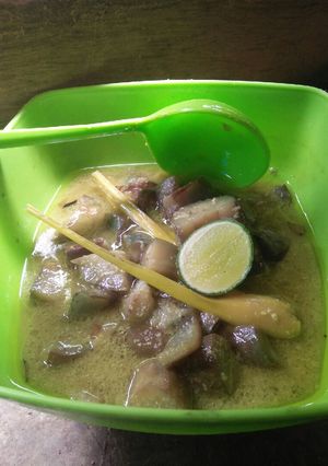 Foto resep Terong Kuah Santan