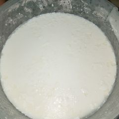A picture of Homemade Dahi.
