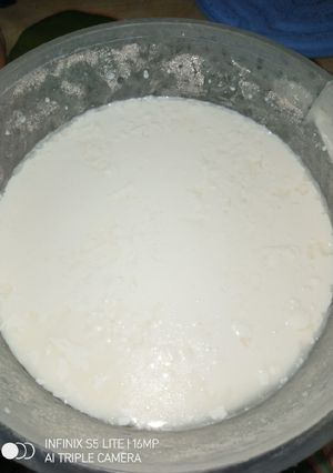 A picture of Homemade Dahi.