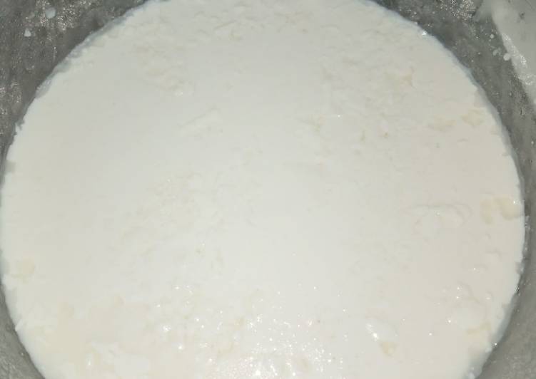 Easiest Way to Make Appetizing Homemade Dahi | Satisfying Recipe | So Delicious !