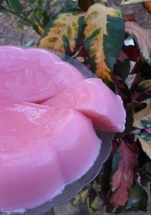 Foto resep Puding susu santan