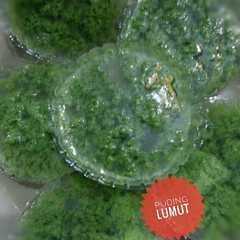 รูปของ Puding lumutl