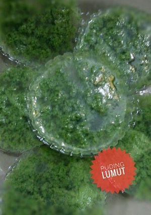 Foto resep Puding lumutl