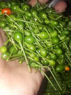 Una foto de Salsa de chile piquín