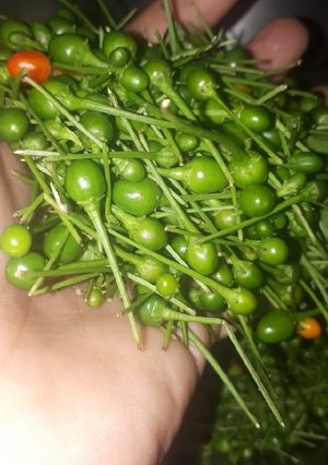 Una foto de Salsa de chile piquín
