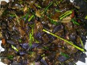 Gambar bekicot bumbu pedas
