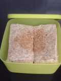 Sandwich Roti Gandum isi Saus Bolognese homemade