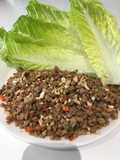 Wraps de pollo y lechuga