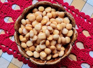 Una foto de Lupines 🌱 Altramuces 🌱 Chochos 🌱 Tremosos 🌱 Tremoços 🌱 Frijoles de altramuz 🌱 Entremozos 🌱
