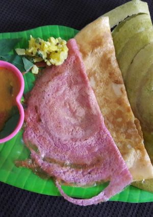 A picture of Variety of Crispy & Healthy Dosa.