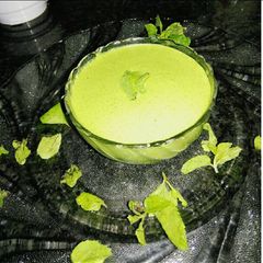 A picture of Mint Sauce.