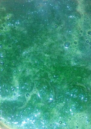 A picture of Mukimo puree.