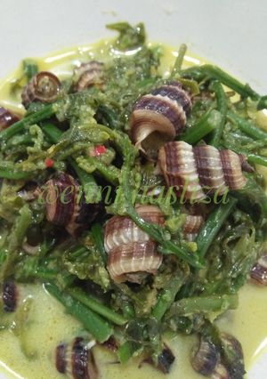 Foto resep Siput Sedut gulai pakis