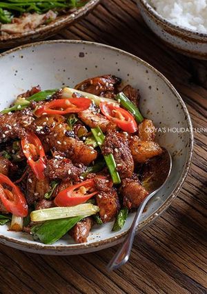 川菜控必學！郫縣豆瓣炒五花(改自回鍋肉) 的食譜成品照片