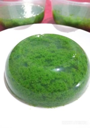 Foto resep Puding Lumut "ijo royo-royo"