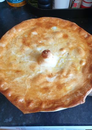 A picture of Chicken pie.