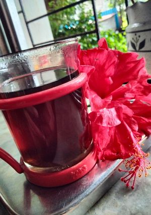 A picture of Hibiscus tea.