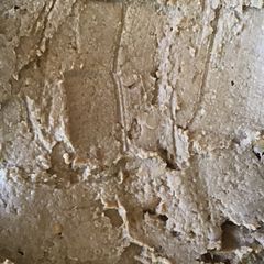 A picture of California Farm Soy Natto Paste for Miso Soup.