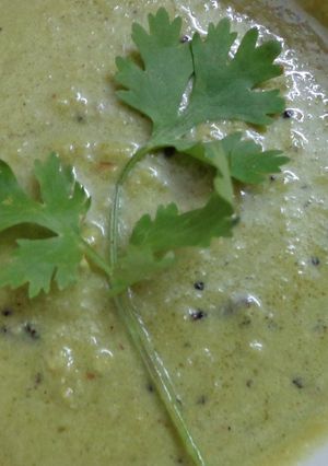 A picture of Cilantro-lemon chutney.