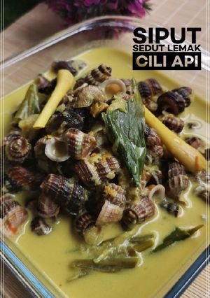 Gambar Siput Sedut Masak Lemak Cili Api