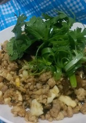 鹹蛋瓜仔肉 的食譜成品照片