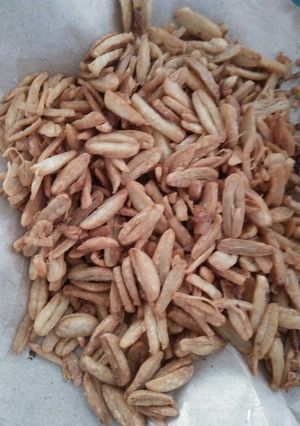 Foto resep Canguk goreng (kacang benguk goreng)