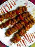 Nutrela Soya Stick Kabab