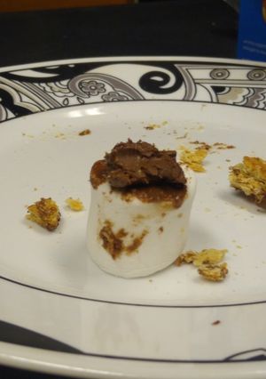 A picture of Chocolate covered marshmallows.