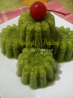 Foto resep Bryophyta Pudding (Puding Lumut)