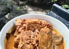 455. Rendang Nangka Muda
