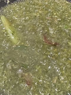 Foto resep Sambel Ijo